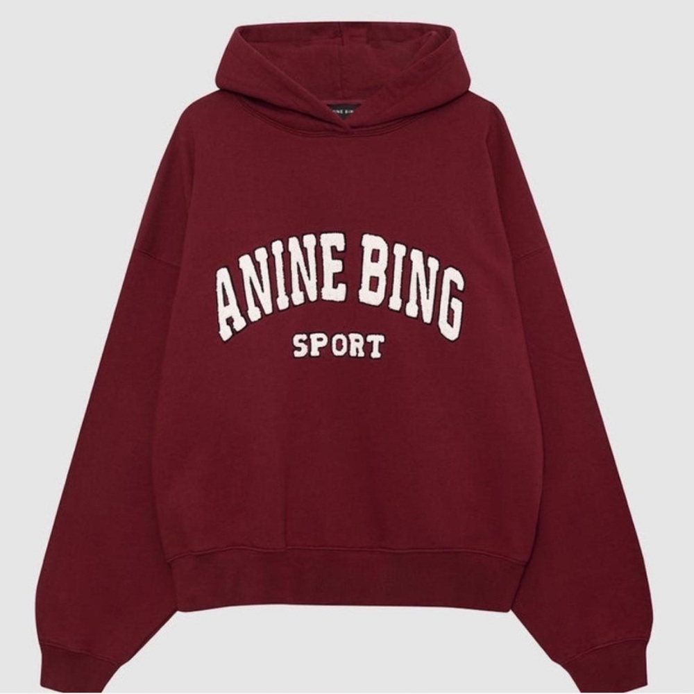 ❌ SOLD ❌ NWOT Anine Bing Alec Hoodie